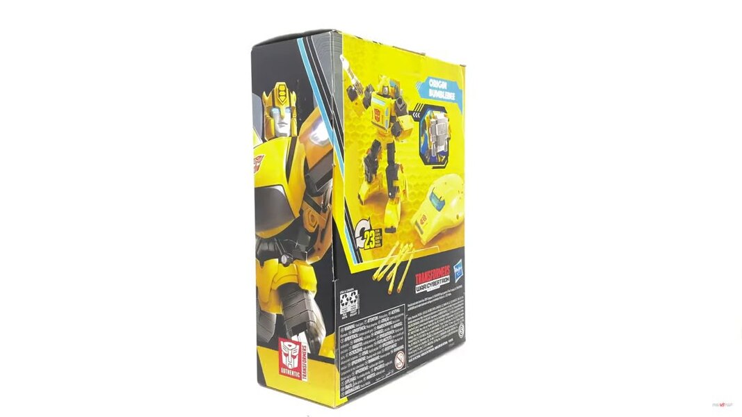 Transformers War For Cybertron Buzzworthy Origin Bumblebee  (4 of 54)